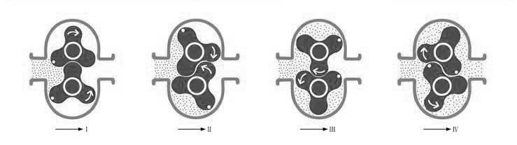 RP系列不銹鋼轉(zhuǎn)子泵